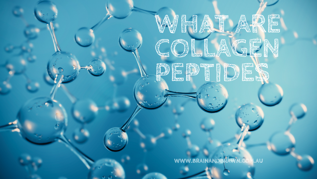 What are collagen peptides