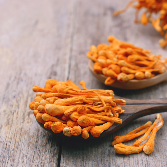 The health benefits of Cordyceps militaris