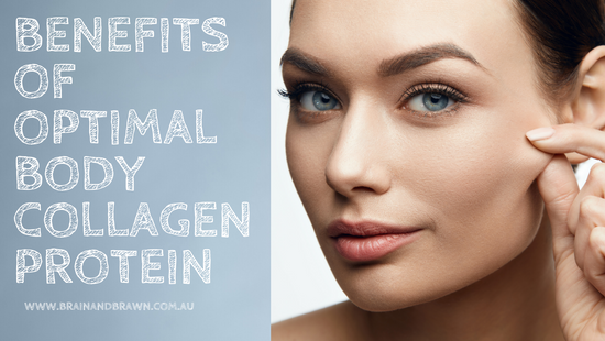 Optimal Body Collagen Protein