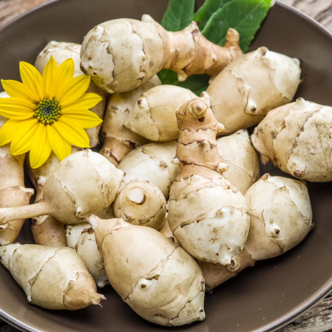 Prebiotic - Organic Jerusalem Artichoke Inulin