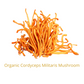 Collagen Coffee (Synergy) with Organic Cordyceps & MCT 15g (Sachet)